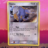 Pokemon Card Tauros POP SERIES 2 5/17 Holo Rare Near Mint