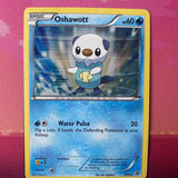 Pokemon Card Oshawott BW03 Black Star Promo Holo Near Mint Condition