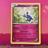 Pokemon Card Xerneas XY31 HOLO Black Star Promo Near Mint Condition