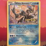 Pokemon Card White Kyurem Black Star Promo XY128 Stamped Near Mint Condition