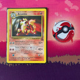 Pokemon Black Star Promo Cards Wizards Of The Coast Complete Sets Near Mint Holo