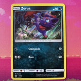 Pokemon Card Zorua SM83 Holo Black Star Promo Near Mint