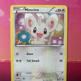 Pokemon Card Minccino BW13 Holo Black Star Promo Near Mint Condition