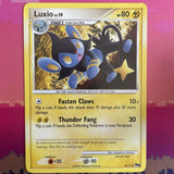 Pokemon Cards Luxio POP SERIES 8 Uncommon 8/17 Near Mint