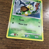 Pokemon Card Turtwig POP SERIES 6 Holo Common 17/17 near mint!