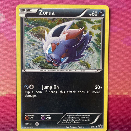 Pokemon Card Zorua BW12 Black Star Promo Holo Near Mint Condition