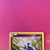 Pokemon Card Xerneas XY31 HOLO Black Star Promo Near Mint Condition