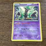 Pokemon Card Trevenant XY94 Black Star Promo STAFF Stamp  Near Mint Condition