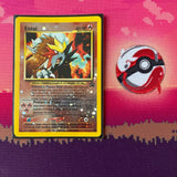 Pokemon Black Star Promo Cards Wizards Of The Coast Complete Sets Near Mint Holo